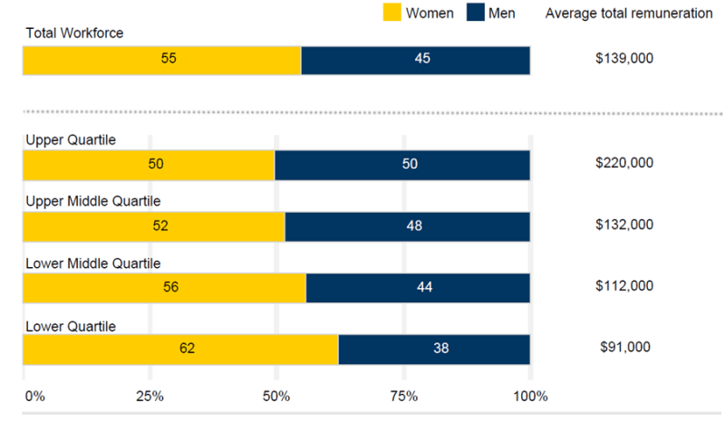Horizontal bar chart describing percentile of remuneration between genders